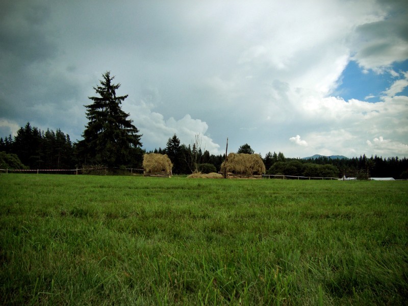 ... Vavriovo z roku 1709 ...